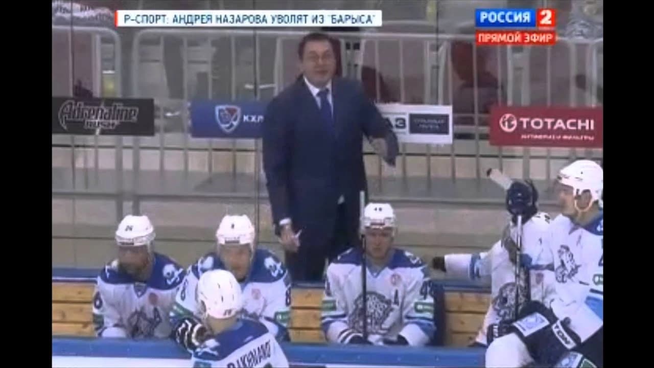 Экспертное мнение для телеканала "Россия 2"