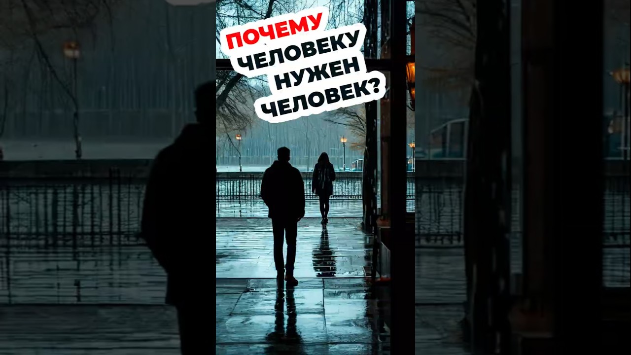 Зачем человеку человек? #психология #СГМ