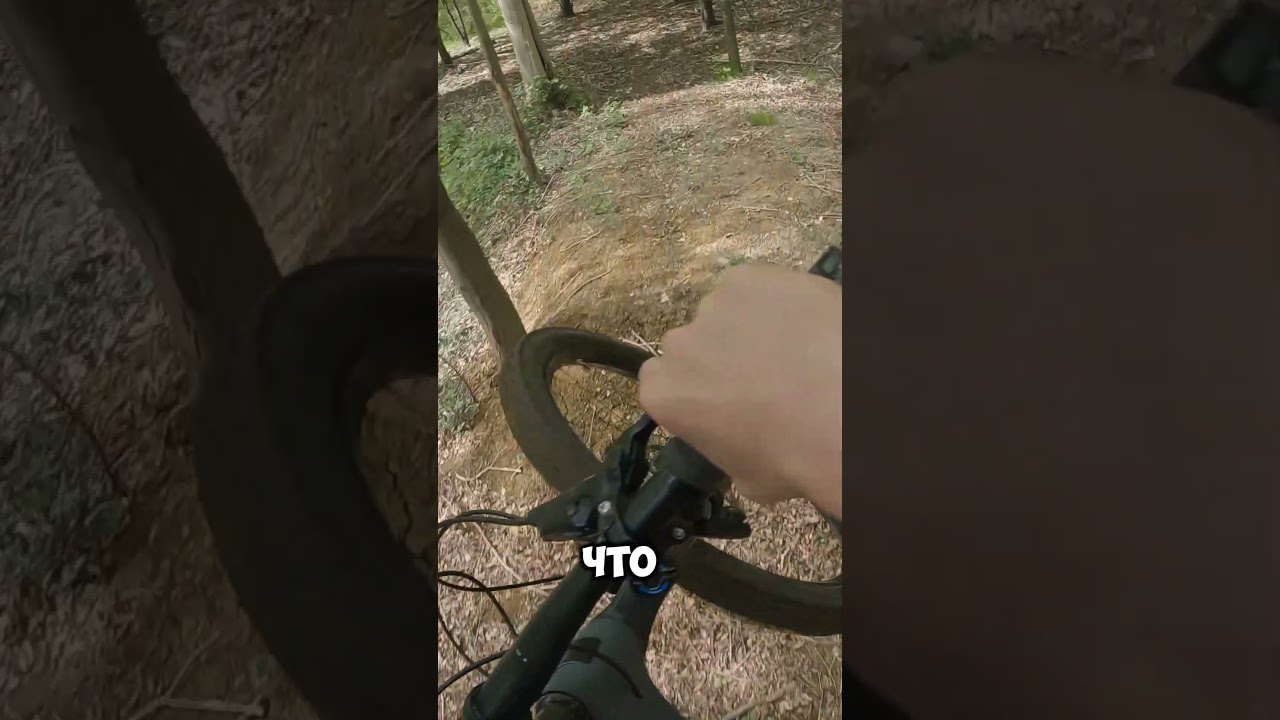 Эффект Барнума #психология #полезныефакты