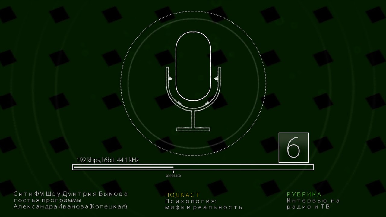 Сити ФМ Шоу Дмитрия Быкова  В гостях Александра  Иванова (Копецкая)